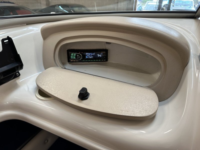 1995 Sea Ray 175 BR